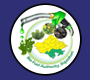 Departmental Information of Bio-Fuel