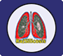 Disrict wise Summary Report For Alive Case