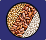 Ration Card Details