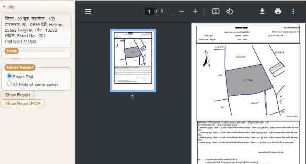 Show Report PDF