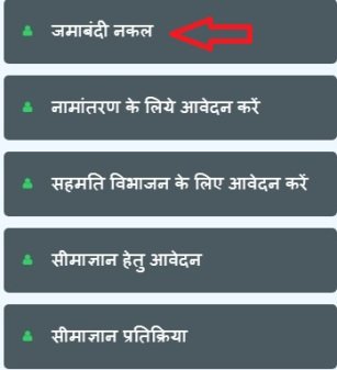 भूलेख राजस्थान नकल